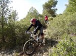 bike1.jpg