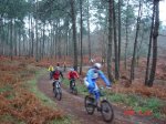 DSC01631 7.jpg