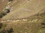 6.11.2005 QDD FOROMTB 030.JPG