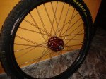 DSC03360.jpg