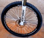 SPINERGYdelanera.jpg