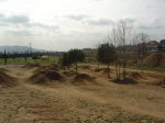 DSC03563.JPG