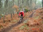 DSC01676 8.jpg