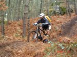 DSC01680 9.jpg