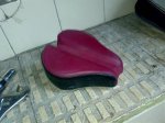 26022008042.jpg