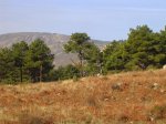 DSCN4297.JPG