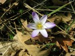 DSCN4311.JPG