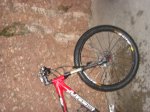 carnabalada 08 077.JPG