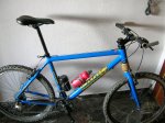 wheeler y special 011.jpg