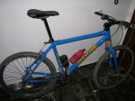 wheeler y special 006.jpg