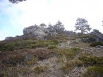 Foto18.JPG