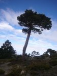 Foto19.JPG