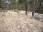 Foto23.JPG