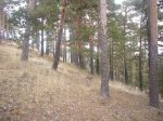 Foto27.JPG