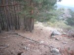 Foto11.JPG