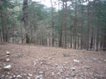 Foto12.JPG