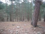 Foto14.JPG
