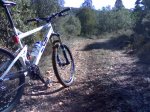 26022008248.jpg
