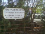 455773Imagen000.jpg