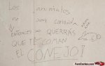 conejo.jpg
