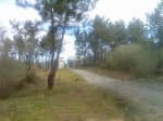 Imagen005.jpg