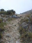 DSC04116x.JPG