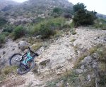 DSC04118x.JPG