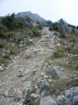 DSC04121x.JPG