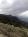 28022008037.jpg