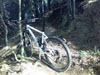 20012008petita.jpg