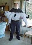 el gato de mi papa.jpg