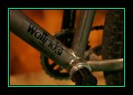 JO8W0288.JPG