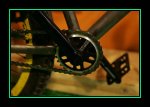 JO8W0291.JPG