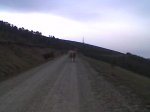 Imagen033.jpg
