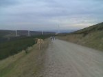 Imagen034.jpg