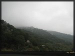 La niebla 2.jpg