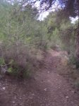 2008-02-29 188.JPG