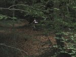 IMG_3594r.JPG