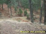 camorquilla16_redimensionar.jpg