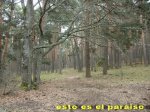 camorquilla56_redimensionar.jpg