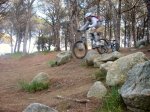 bici 014b.jpg