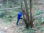 rodeando arbol.jpg