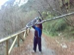 saltando arbol.jpg