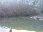 pantano 03.jpg