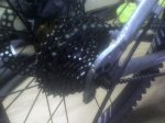 singlespeed2.jpg