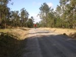 DSC05744.JPG