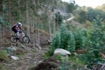 CORUXO 1-03-08 069.jpg