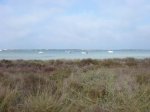 MTB-2008-02-01-Formentera-11.jpg