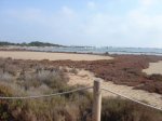 MTB-2008-02-01-Formentera-13.jpg