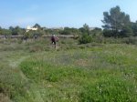 MTB-2008-02-01-Formentera-24.jpg